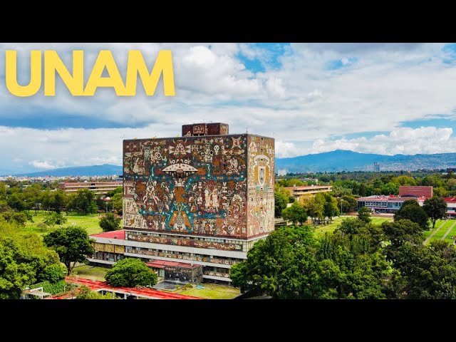 Explore the UNAM campus and murals in Mexico City